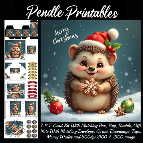 Cute Merry Christmas Hedgehog (9).  9 Piece 7x7 Complete Kit