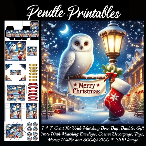 Merry Christmas Olde Time Scene Snowy Owl (2).  9 Piece 7x7 Complete Kit