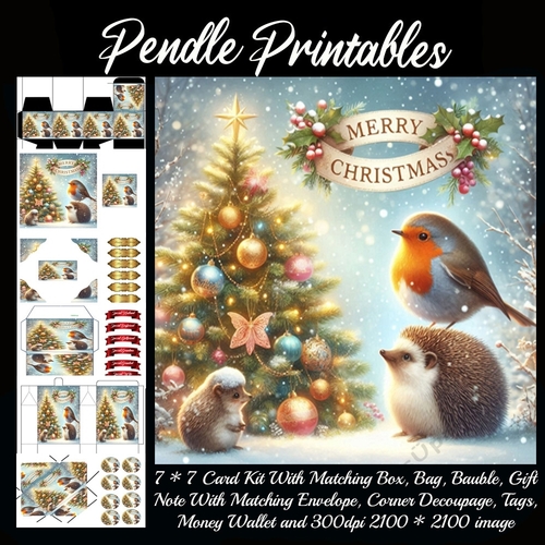Merry Christmas Hedgehog & The Robin.  9 Piece 7x7 Complete Kit