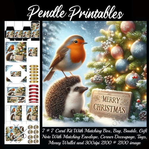 Merry Christmas Hedgehog & The Robin (2).  9 Piece 7x7 Complete Kit