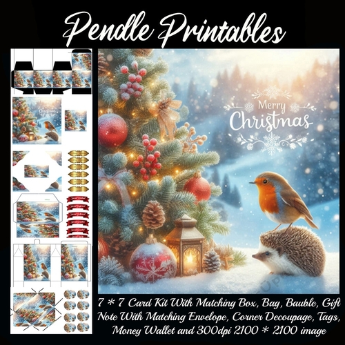 Merry Christmas Hedgehog & The Robin (3).  9 Piece 7x7 Complete Kit