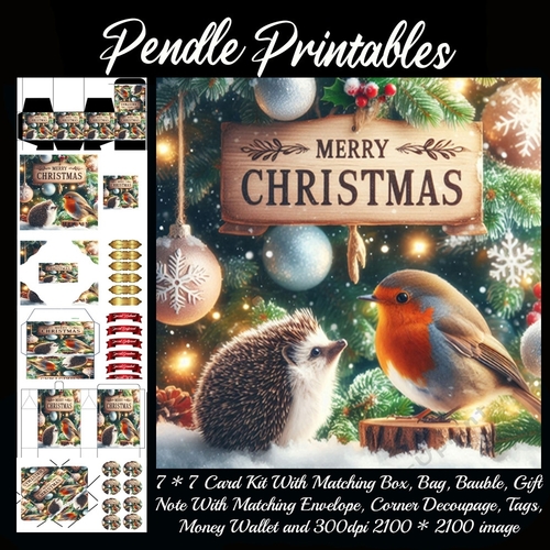 Merry Christmas Hedgehog & The Robin (4).  9 Piece 7x7 Complete Kit
