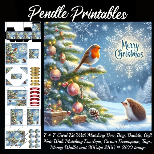 Merry Christmas Hedgehog & The Robin (5).  9 Piece 7x7 Complete Kit