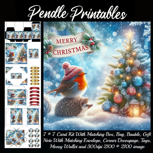 Merry Christmas Hedgehog & The Robin (6).  9 Piece 7x7 Complete Kit