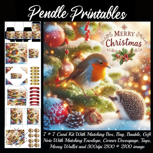 Merry Christmas Hedgehog & The Robin (7).  9 Piece 7x7 Complete Kit