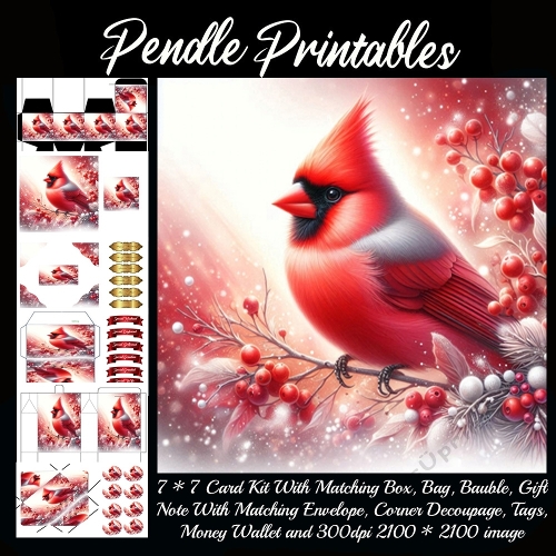 Christmas Cardinal (2) 9 Piece 7x7 Complete Kit