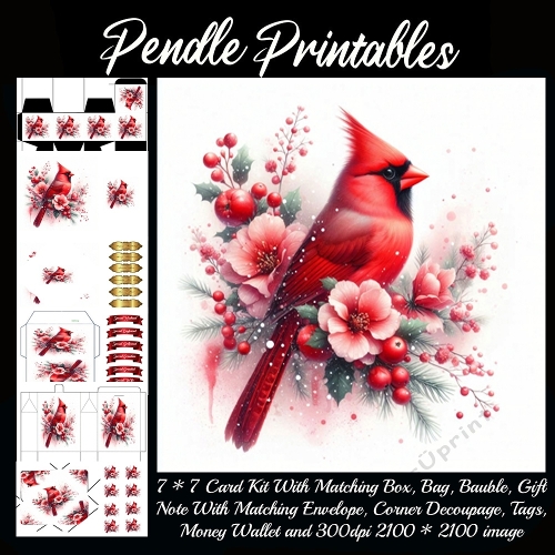 Winter Cardinal with Holiday Flowers 9 Piece 7x7 Complete Kit