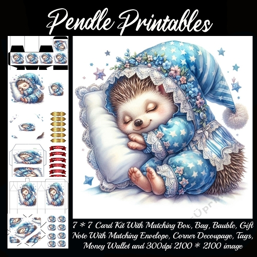Dreaming Hedgehog in Pajamas . 9 Piece 7x7 Complete Kit