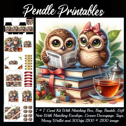 Two sweet owls enjoy books and tea together on a cozy morning. 9 Piece 7x7 Complete Kit