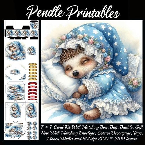 A tiny hedgehog peacefully naps in starry lace pajamas and flowers.9 Piece 7x7 Complete Kit
