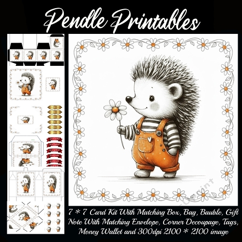 Hugo Hedgehog Practices Kindness One Daisy Brave Step Today Forward. 9 Piece 7x7 Complete Kit