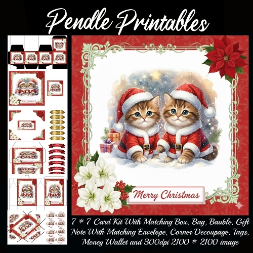 Tinsel and Twinkle Kitten Twins Pose Proud For Christmas Magic. 9 Piece 7x7 Complete Kit