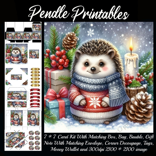 NEW STORY CARD. Cozy hedgehog smiles warmly, wrapped in winter cheer and candlelight.