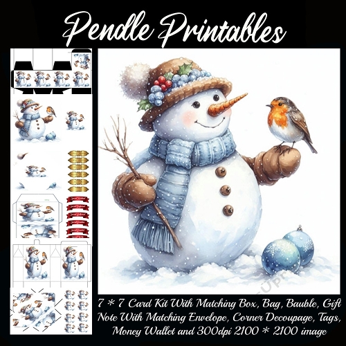 NEW STORY CARD. Friendly snowman greets robin buddy, scarves fluttering in snowy cheer!