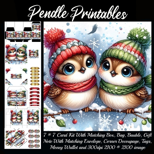 NEW STORY CARD. Adorable winter owls snuggle together, bobble hats wobbling with cheer!