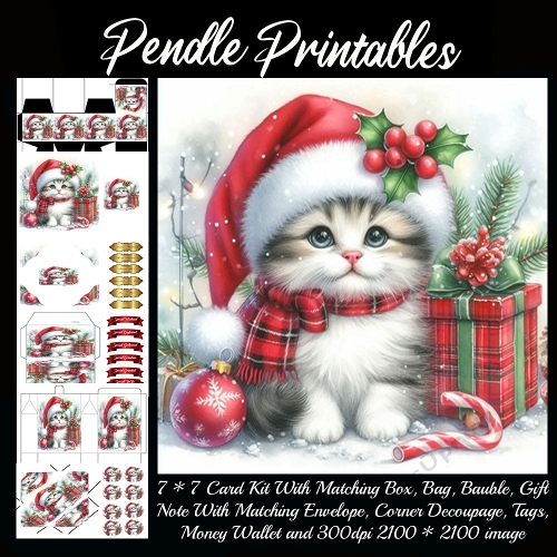 NEW STORY CARD. Fluffy kitten wears Santa hat beside festive Christmas presents decorations
