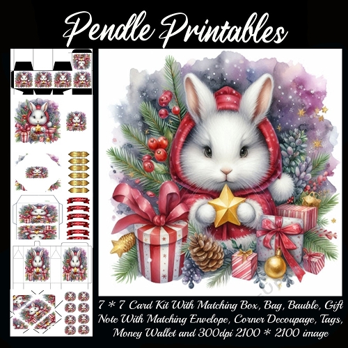NEW STORY CARD. The Star-Struck Christmas Bunny