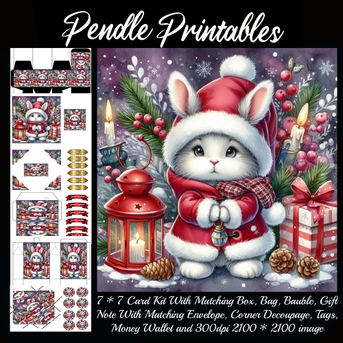 NEW STORY CARD. The Cozy Lantern Bunny
