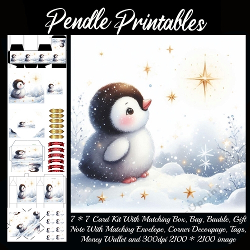 NEW STORY CARD. The Little Penguins Wishing Star