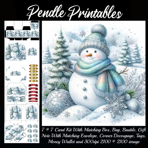 NEW STORY CARD. The Sparkly Winter Snowman