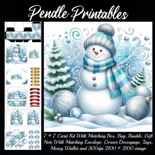 NEW STORY CARD. The Frosty Blue Snowman