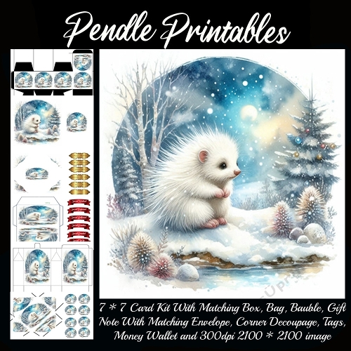 The Frosty Hedgehogs Holiday