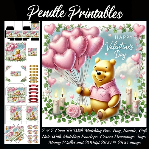 Pink Valentines Bear 10. Full kit, card, box, bag, tag, money wallet and more