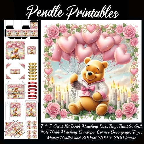 Pink Valentines Bear 15. Full kit, card, box, bag, tag, money wallet and more