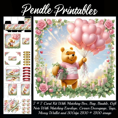 Pink Valentines Bear 18. Full kit, card, box, bag, tag, money wallet and more