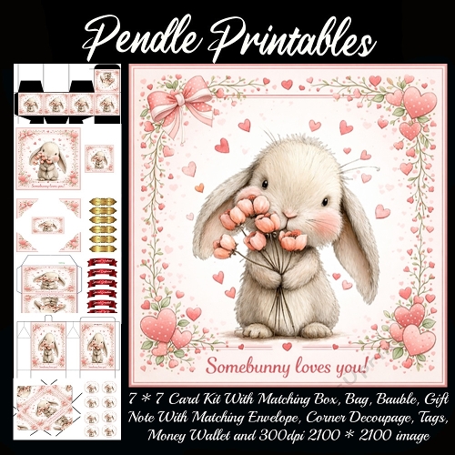 Somebunny loves you. Full kit, card, box, bag, tag, money wallet and more