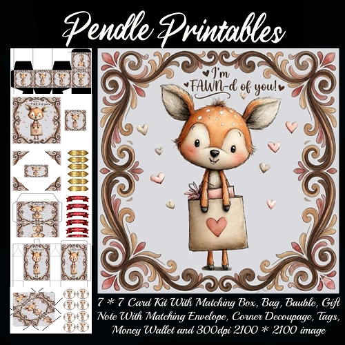 Im fawn-d of you . Full kit, card, box, bag, tag, money wallet and more