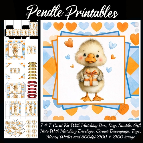 NEW POEM CARD . Cute Duck. Full 9 piece matching kit