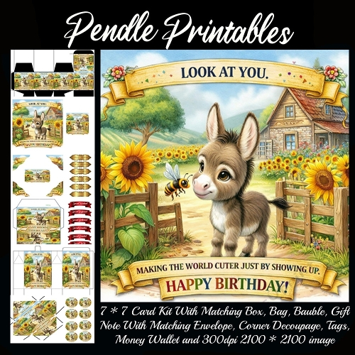 Look at you. Card, Giftbag, Money wallet, Tag, Bauble, Gift Card, Envelope. Large Image, Image without border.