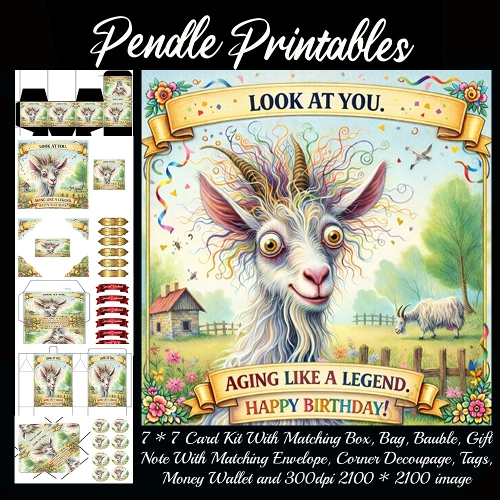 Look at you ageing like a legend. Card, Giftbag, Money wallet, Tag, Bauble, Gift Card, Envelope. Large Image, Image without border.
