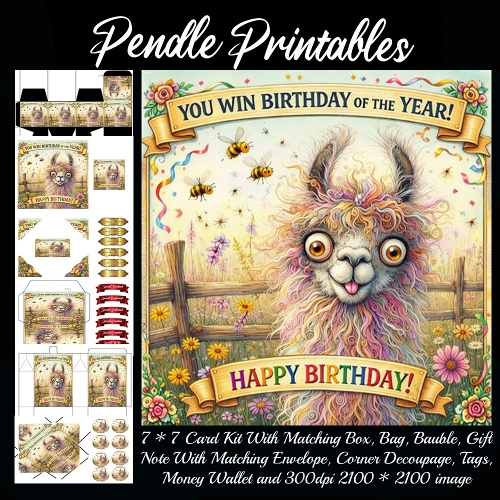 You win birthday of the year. Card, Giftbag, Money wallet, Tag, Bauble, Gift Card, Envelope. Large Image, Image without border.
