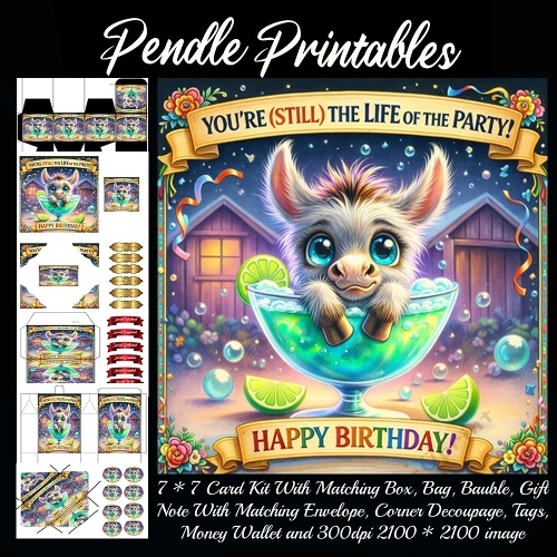 Youre still the life of the party Card, Giftbag, Money wallet, Tag, Bauble, Gift Card, Envelope. Large Image, Image without border.
