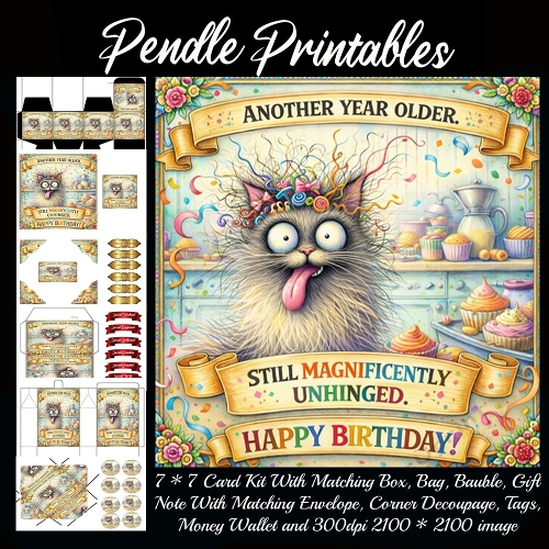 Another year older. Card, Giftbag, Money wallet, Tag, Bauble, Gift Card, Envelope. Large Image, Image without border.