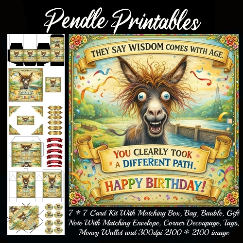 Wiisdom comes with age. Card, Giftbag, Money wallet, Tag, Bauble, Gift Card, Envelope. Large Image, Image without border.
