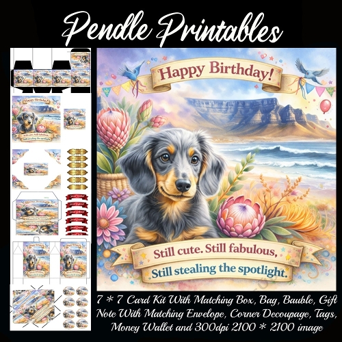 Still cute, still fabulous . Card, Giftbag, Money wallet, Tag, Bauble, Gift Card, Envelope. Large Image, Image without border.