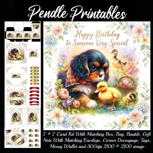 Happy birthday to someone special . Card, Giftbag, Money wallet, Tag, Bauble, Gift Card, Envelope. Large Image, Image without border.