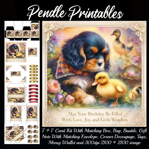 May your birthday be filled with love. Card, Giftbag, Money wallet, Tag, Bauble, Gift Card, Envelope. Large Image, Image without border.