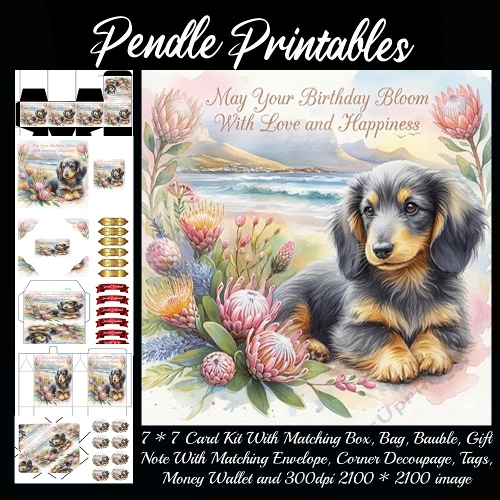 May your birthday bloom . Card, Giftbag, Money wallet, Tag, Bauble, Gift Card, Envelope. Large Image, Image without border.