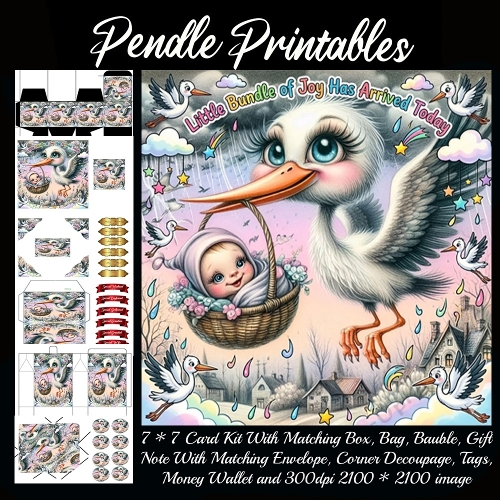 Little bundle of joy has arrived. Card, Giftbag, Money wallet, Tag, Bauble, Gift Card, Envelope. Large Image, Image without border.