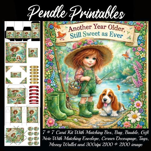 Another year older. Card, Giftbag, Money wallet, Tag, Bauble, Gift Card, Envelope. Large Image, Image without border.