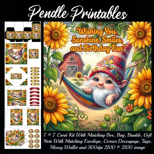 Wishing you sunshine Card, Giftbag, Money wallet, Tag, Bauble, Gift Card, Envelope. Large Image, Image without border.