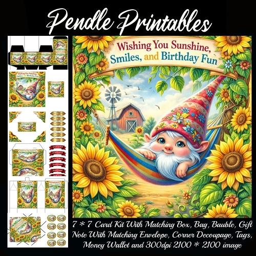 Wishing you sunshine Card, Giftbag, Money wallet, Tag, Bauble, Gift Card, Envelope. Large Image, Image without border.