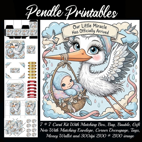 Our little miracle Card, Giftbag, Money wallet, Tag, Bauble, Gift Card, Envelope. Large Image, Image without border.