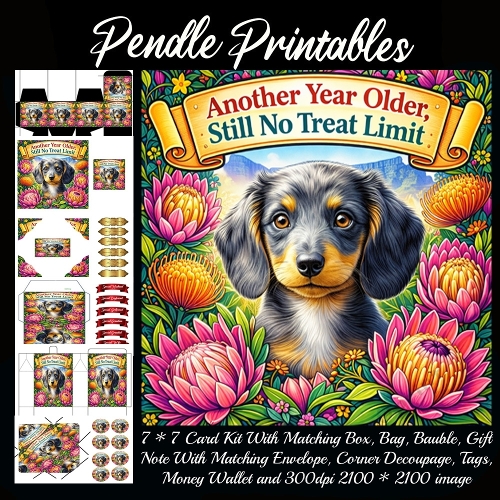 Another year older Card, Giftbag, Money wallet, Tag, Bauble, Gift Card, Envelope. Large Image, Image without border.