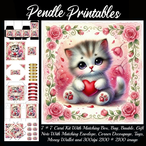 Valentines Cute Kitten