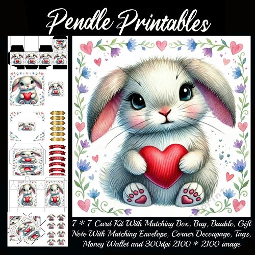 Valentines Cute Rabbit 2